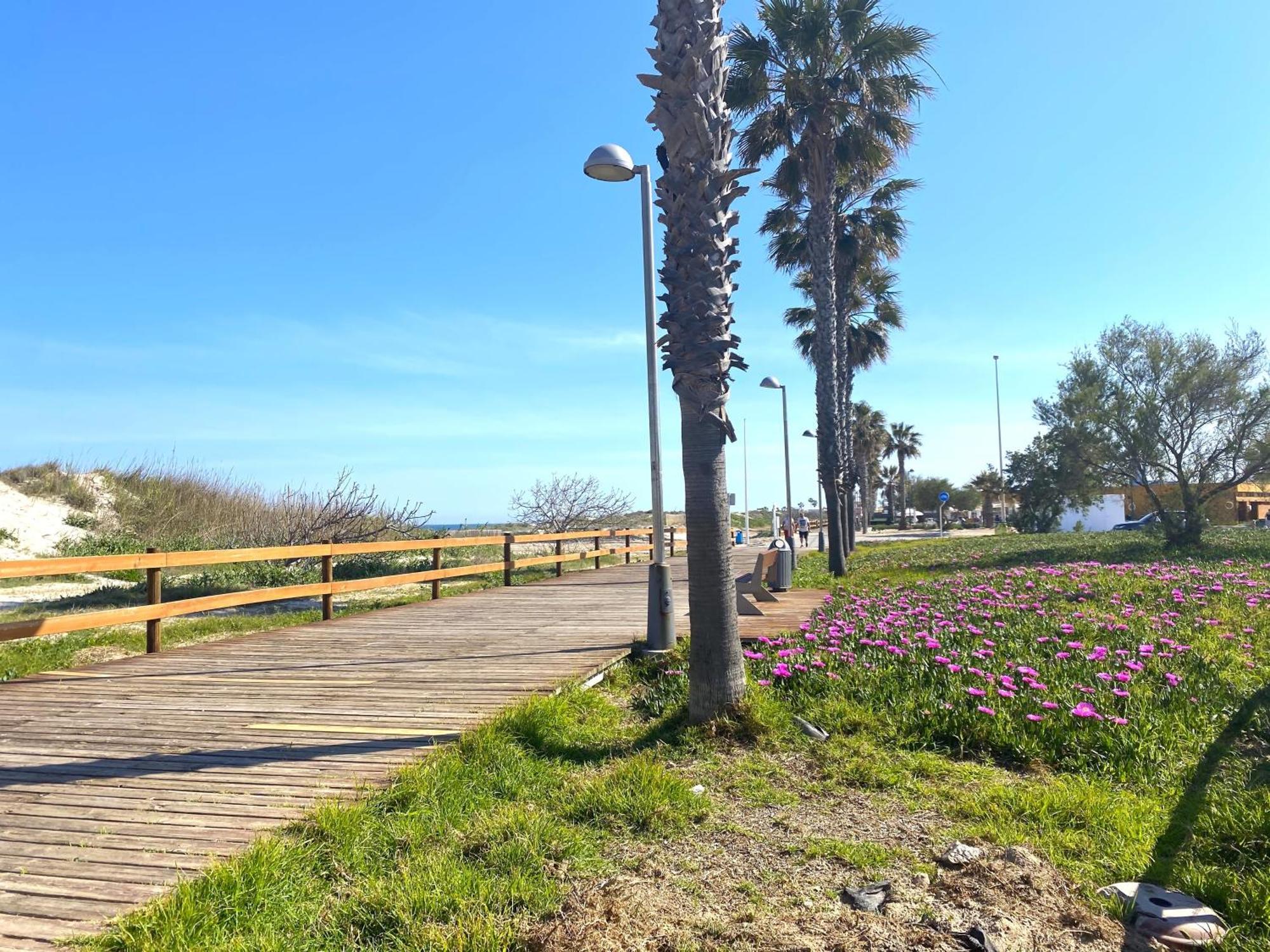 Precioso Apartamento A Tan Solo 300 M De La Playa Pilar de la Horadada Exteriér fotografie